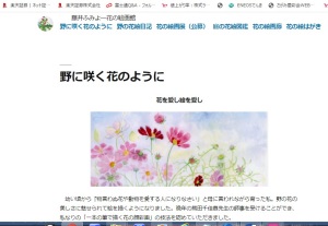 藤井ふみよ―花の絵画館トップ